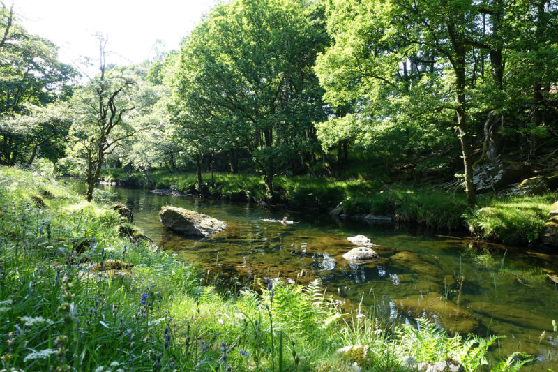 Where to Swim in the Lake District: Swimming in the Upper River Esk